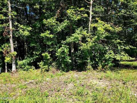 1008 Chief Day Break Drive, Crossville, TN 38572