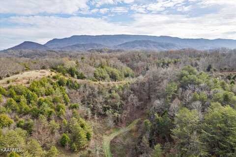 Wye Drive Tract 2, Seymour, TN 37865