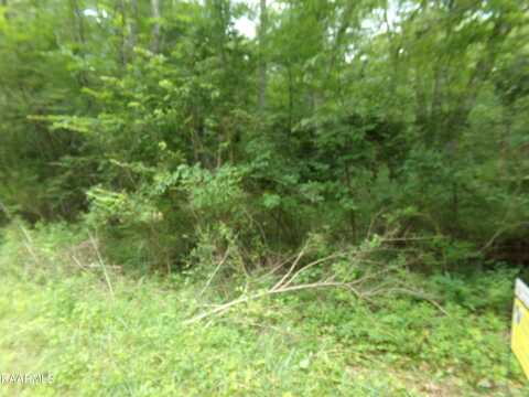 1302 Black Cloud Drive, Crossville, TN 38572