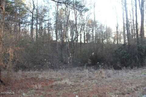 COUNTY ROAD 786 Lot 2, Etowah, TN 37331