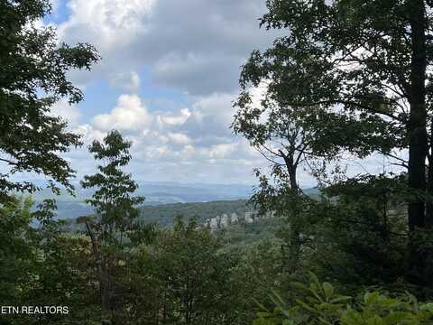 Chimney Rock Lane, Duff, TN 37729