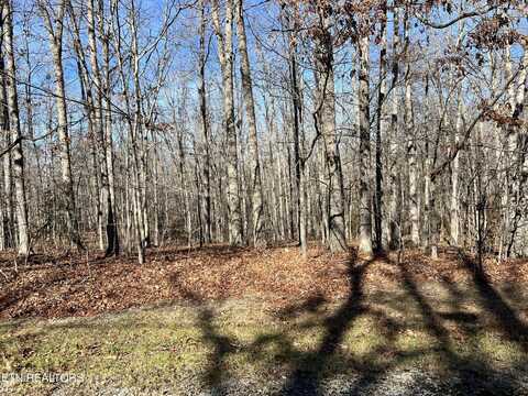 Forest Drive, Crossville, TN 38571