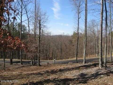 Lot #32 Bayside Blvd, Bean Station, TN 37708