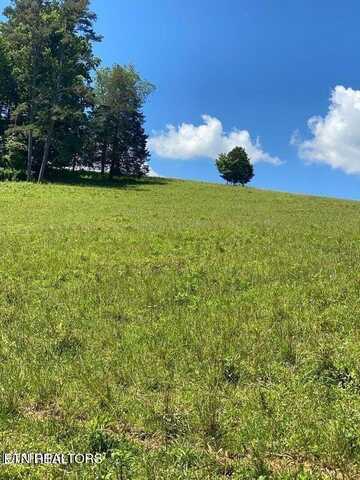 Lot 7 Chapman Rd, La Follette, TN 37766