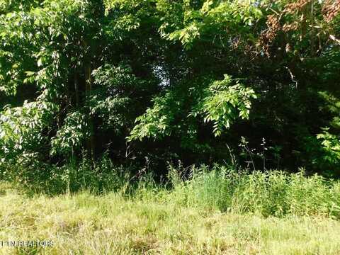 Lot 719 Whistle Valley Road, New Tazewell, TN 37825