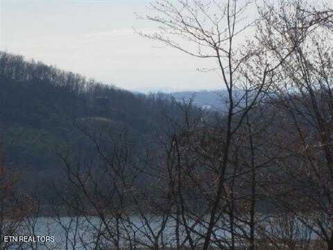 Lot #35 Bayside Blvd, Bean Station, TN 37708