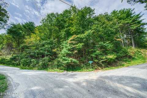 Stepping Stone Drive, Sevierville, TN 37862