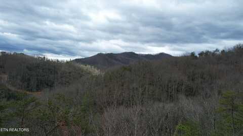 2875 Happy Hollow Rd, Sevierville, TN 37862