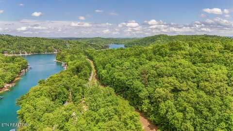 Yoakum Hollow Rd, Jacksboro, TN 37757