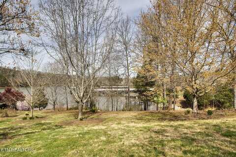 191 White Swan Drive, Vonore, TN 37885