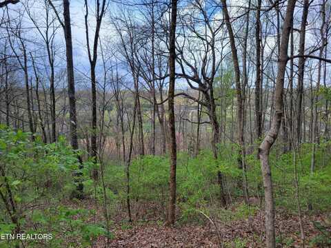 1127 Rifle Range Drive, Knoxville, TN 37918