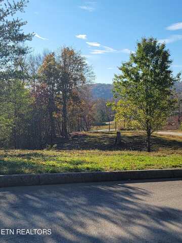 308 Caney View Drive, Harriman, TN 37748