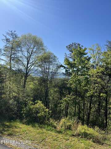 Lot 155e Harmony Hill Lane, Sevierville, TN 37862