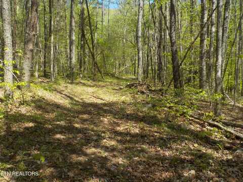 Steve Brown Road, Bean Station, TN 37708