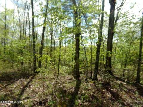 5140 Yurch Drive, Crossville, TN 38572