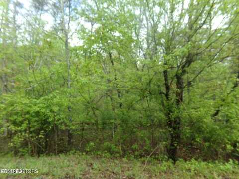 21 Broken Arrow Drive, Crossville, TN 38572