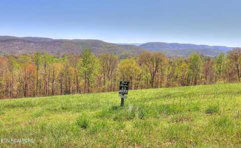 Lot 49 Topaz Lane, New Tazewell, TN 37825