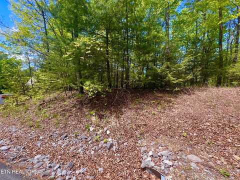 Lot 115 Whetstone Rd, Sevierville, TN 37862