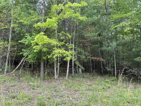 114 Forest Hill Drive, Fairfield Glade, TN 38558