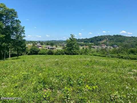 Dog Creek Lane, Jacksboro, TN 37757