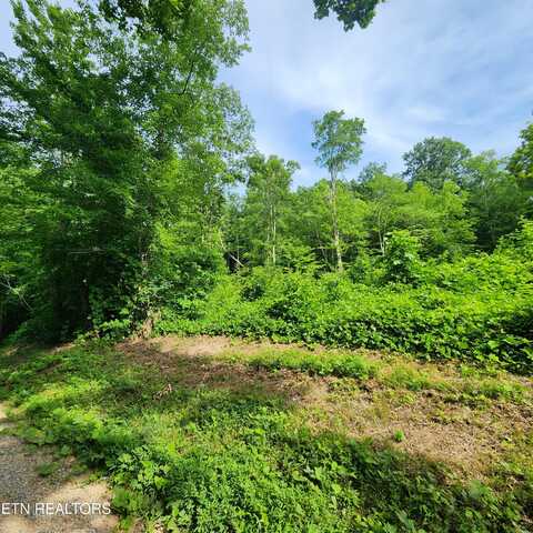 0 Elm Springs Ridge Rd, Washburn, TN 37888