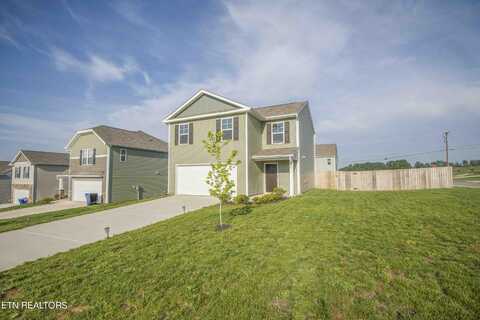 203 Belle Court, Talbott, TN 37877