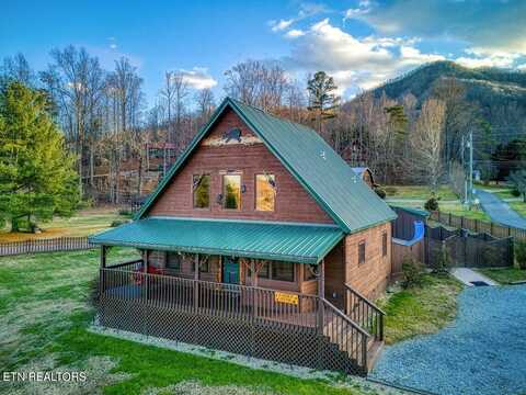 3501 Ginseng Way, Pigeon Forge, TN 37862