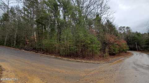 Lot 10 Rail Hill Lane, Sevierville, TN 37876