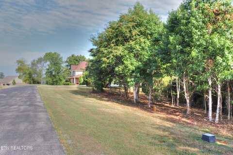 208 Majestic View Drive, Rockwood, TN 37854