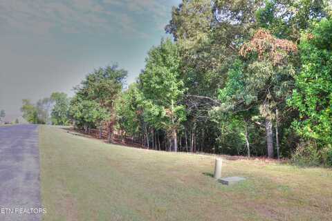 206 Majestic View Drive, Rockwood, TN 37854