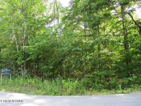 000 Red Cloud Rd, Ten Mile, TN 37880