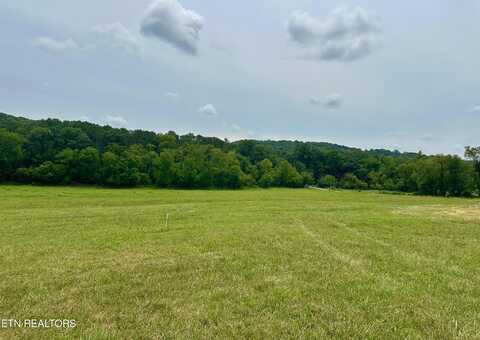 Lot 7 Rutledge Pike, Blaine, TN 37709