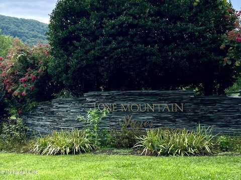 Lot 400 Chimney Rock Rd, New Tazewell, TN 37825