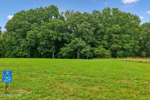 Lot 29 Nightfall Lane, White Pine, TN 37890