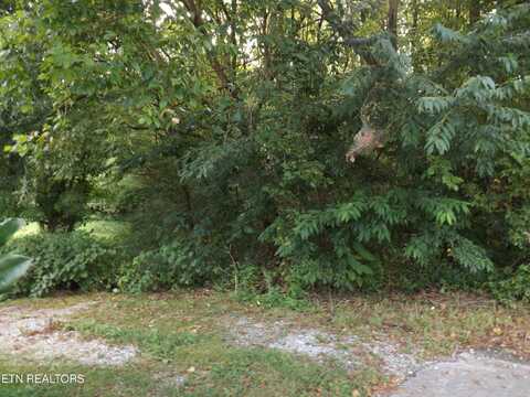 Lot 12 Robin Drive, New Tazewell, TN 37825