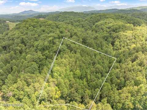 Lot 3 Gnatty Branch Rd, Sevierville, TN 37876