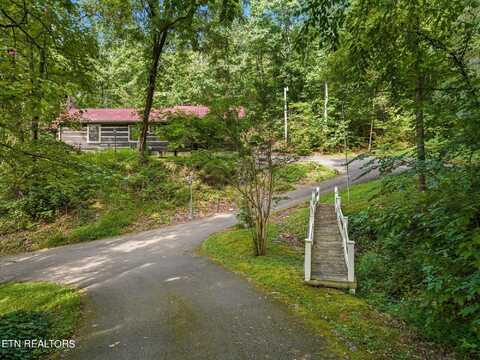 244 Spring Valley Rd, Pigeon Forge, TN 37863