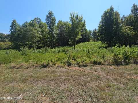 Meadow Lane, Harriman, TN 37748