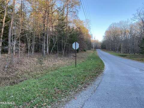 Leistner Drive, Crossville, TN 38571