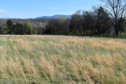 Lot 19 Temple Rd, Seymour, TN 37865