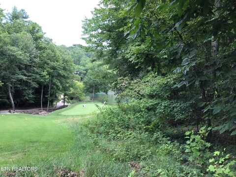 21 Claremont Circle, Fairfield Glade, TN 38558