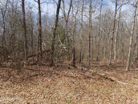 9 Broken Arrow Drive, Crossville, TN 38572