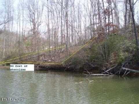 Lot 75 Turkey Ridge Rd, Rockwood, TN 37854