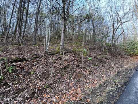 Black Gum Rd, Gatlinburg, TN 37738