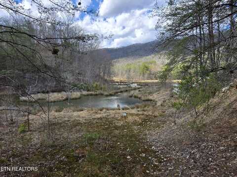 Steve Brown Rd, Bean Station, TN 37708