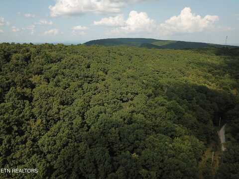 Millstone Mountain Rd, Rockwood, TN 37854