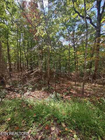 Hueston Wood Lane, Speedwell, TN 37870