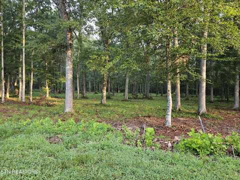 Lot 5 Deerwood Drive, Dandridge, TN 37725