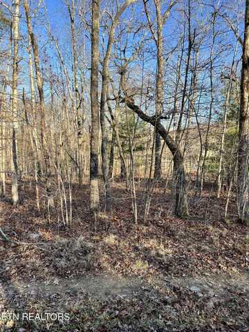 153 Manchester Rd, Crossville, TN 38558