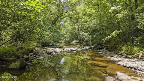 Big Spring Rd, Oneida, TN 37841
